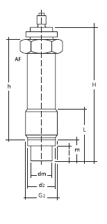 Разделительная мембрана DRM-R-620/1,018 мм, вращающийся, длинный с гайкой для присоединения капиллярной трубки
