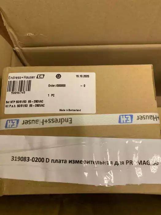 Endress+Hauser 319083-0200 D