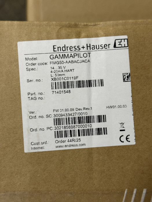 Endress+Hauser GAMMAPILOT FMG-AABACJACA