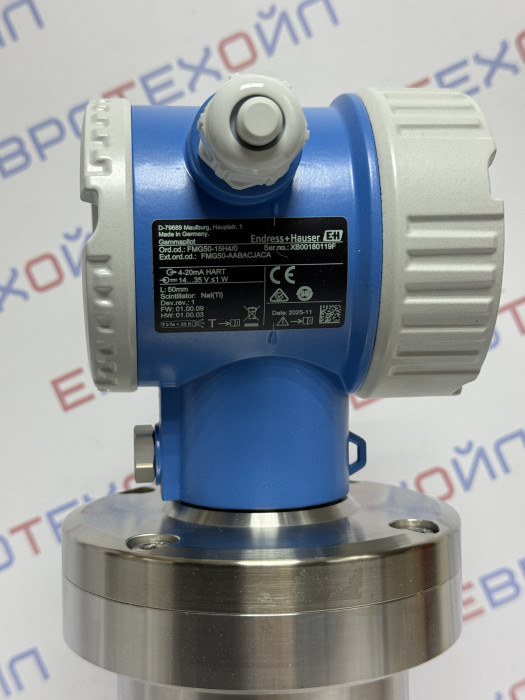 Endress+Hauser GAMMAPILOT FMG-AABACJACA 