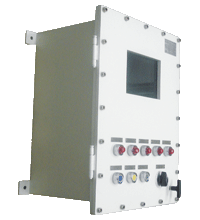 Solutions Ex d IIB based on EJB Enclosures, Stainless Steel EJB/X*