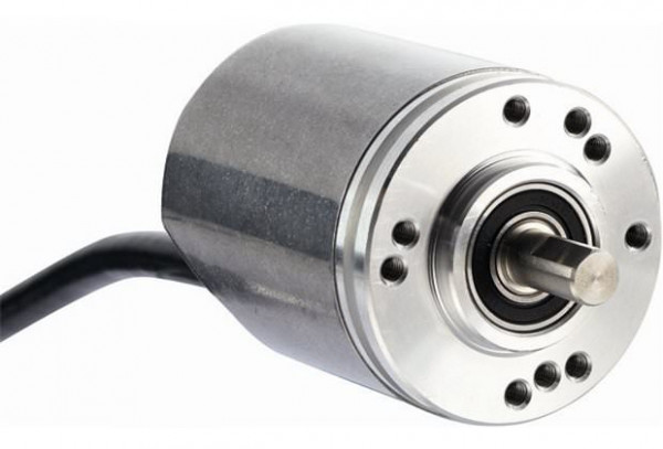 DBS36 Core - DBS36E-S3EK02500 - 1061133