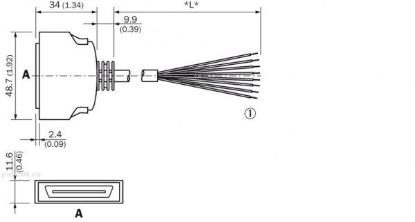 Plug connectors and cables, Connecting cable (male connector-open) - IO-EXP-AOD5 - 6035990