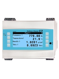 Endress+Hauser FML621 Электронный преобразователь