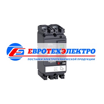 Schneider Electric 2П Автоматический выключатель  NSX100S 80A AC/DC (арт.LV438619)