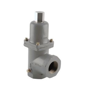 Перепускные клапаны Fisher™ N100-N100A-N110