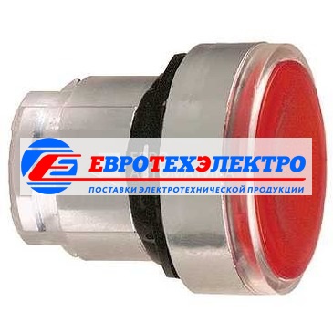 ГОЛ. КН. 22ММ КРАСН. С ЗАДЕРЖК. ZB4BH043