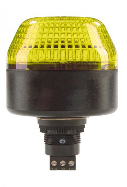 P65-V1-B-DS-Y - Indicator 50130479