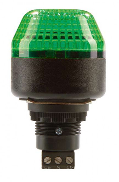 P45-V1-B-DS-G - Indicator 50130502