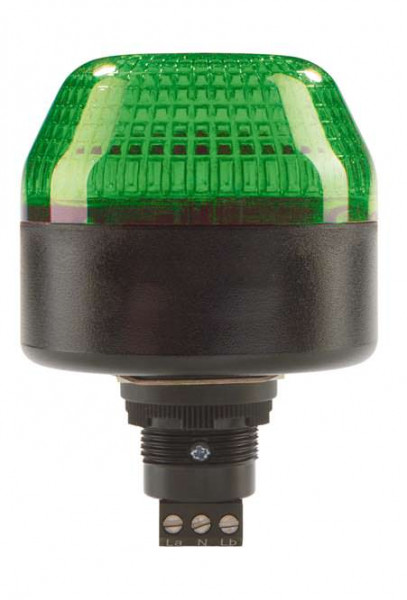 P65-V1-B-DS-G - Indicator 50130478