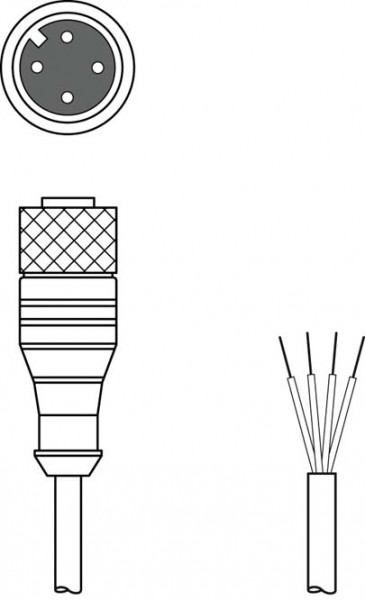 KD U-M12-4A-P1-050-DP - Connection cable 50130675