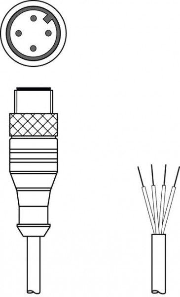 CB-M12-2000-4GMB - Connection cable 548363