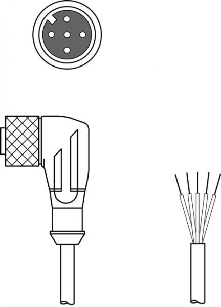 K-D M12W-5P-5m-PUR - Connection cable 50104762