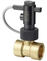 Flow switch for liquids in piping DN 10...25 - QVE1902.0..