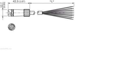 Plug connectors and cables / Connecting cable (female connector-open) - DOL-1212-G10M - 6045214