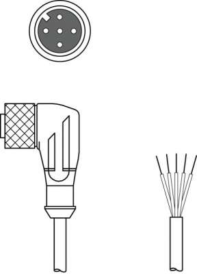 K-D M12W-5P-2m-FAB - Connection cable 50104575