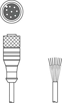 K-D M12A-8P-10m-PUR - Connection cable 50106882