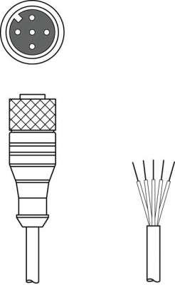 K-D M12A-5P-30m-PVC - Connection cable 50120949